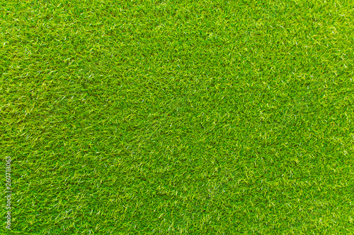 artificial green grass. The background is green.