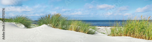 Baltic Sea Beach with Dunes and Ocean View - Panorama © ExQuisine