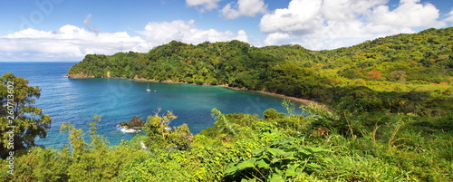 Stampa su Tela Caribbean Island Bay - Panorama