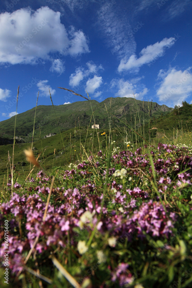 Obraz premium Italia, Friuli Venezia Giulia, le montagne della Carnia.