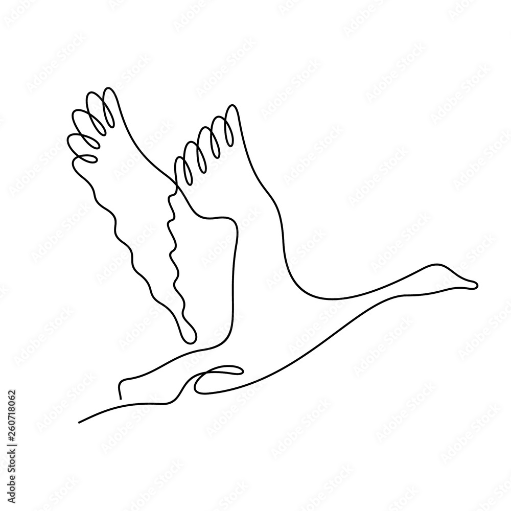 Goose continuous line vector illustration Goose continuous line vector illustration