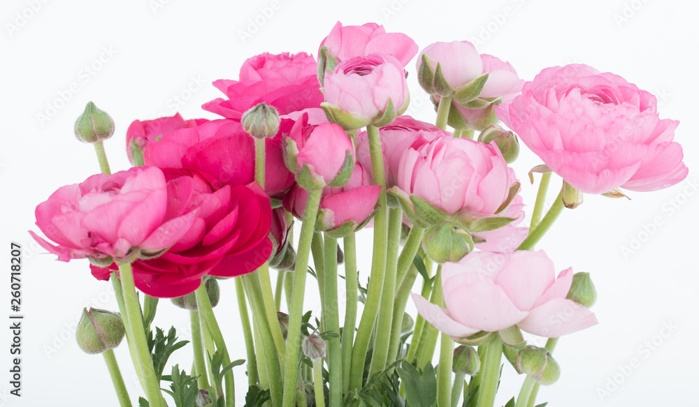 frische Blumen