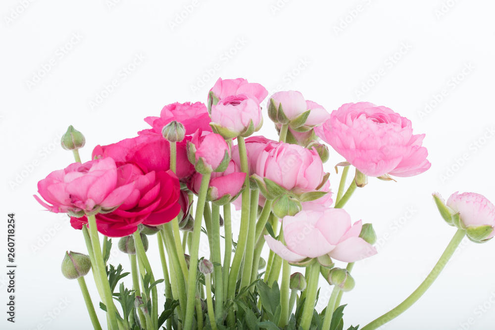 Fototapeta premium frische Blumen