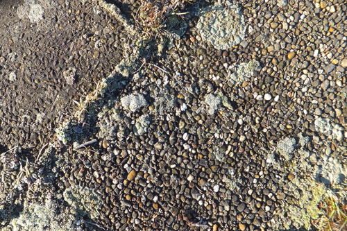 vereiste gartenplatten