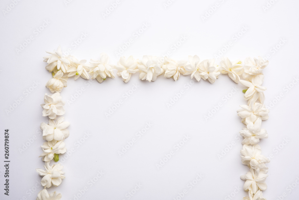 Jasminum sambac or Mogra Flower arranged in a circular or rectangular frame shape over white background, selective focus Jasminum sambac or Mogra Flower arranged in a circular or rectangular frame shape over white background, selective focus