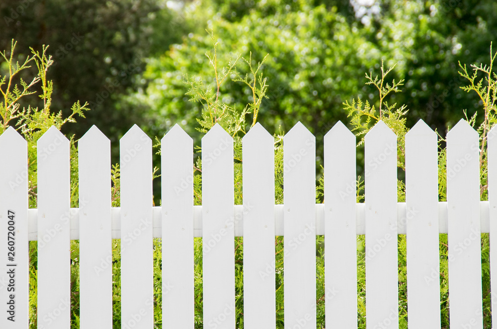 Fototapeta premium Perfect white picket fence, green garden, trees on blackground. Dream home concept.