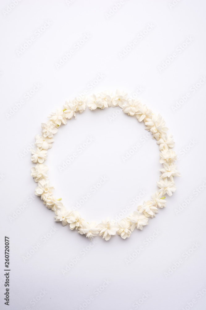 Jasminum sambac or Mogra Flower arranged in a circular or rectangular frame shape over white background, selective focus Jasminum sambac or Mogra Flower arranged in a circular or rectangular frame shape over white background, selective focus