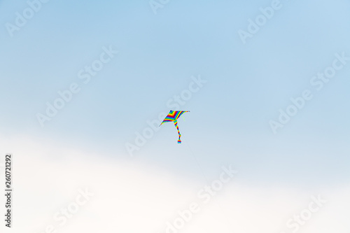 A kite flying in the sky