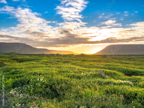 Beautiful summer Icelandic landscape: meadow with green grass and the hills at sunset with warm light under majestic clouds in the sky © Konstantin Belov