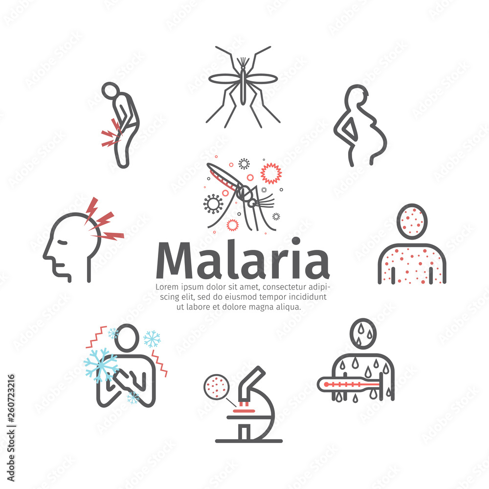 Malaria line icon banner. Infographics. Symptoms, Vector signs for web