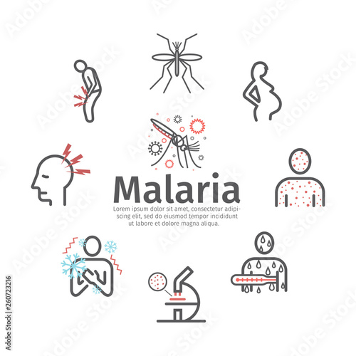 Malaria line icon banner. Infographics. Symptoms, Vector signs for web graphics.