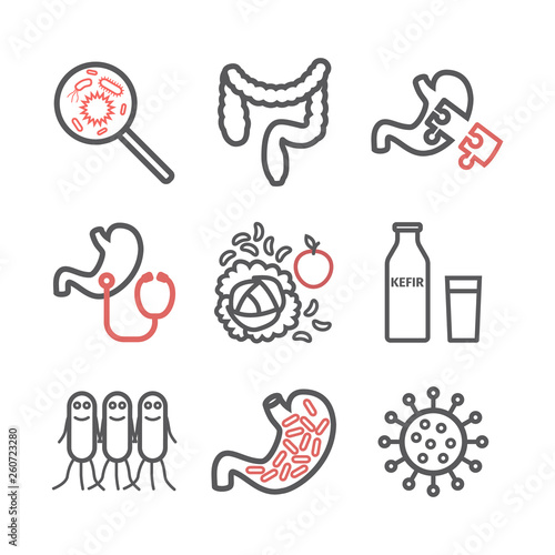 Gut flora. Line icons set. Vector signs