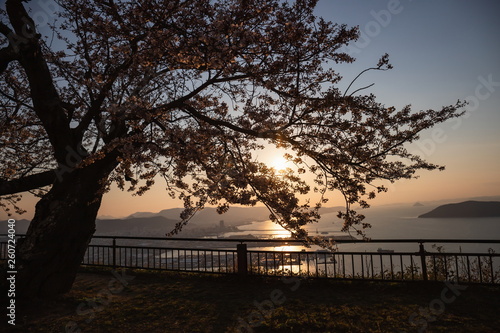Cherry tree and Takamatsu port in the twilight at Yashima ,Shikoku,Japan