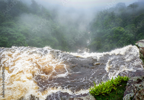 Fototapeta Naklejka Na Ścianę i Meble -  River forest flow view on top cliff high waterfall stream and forest tree background