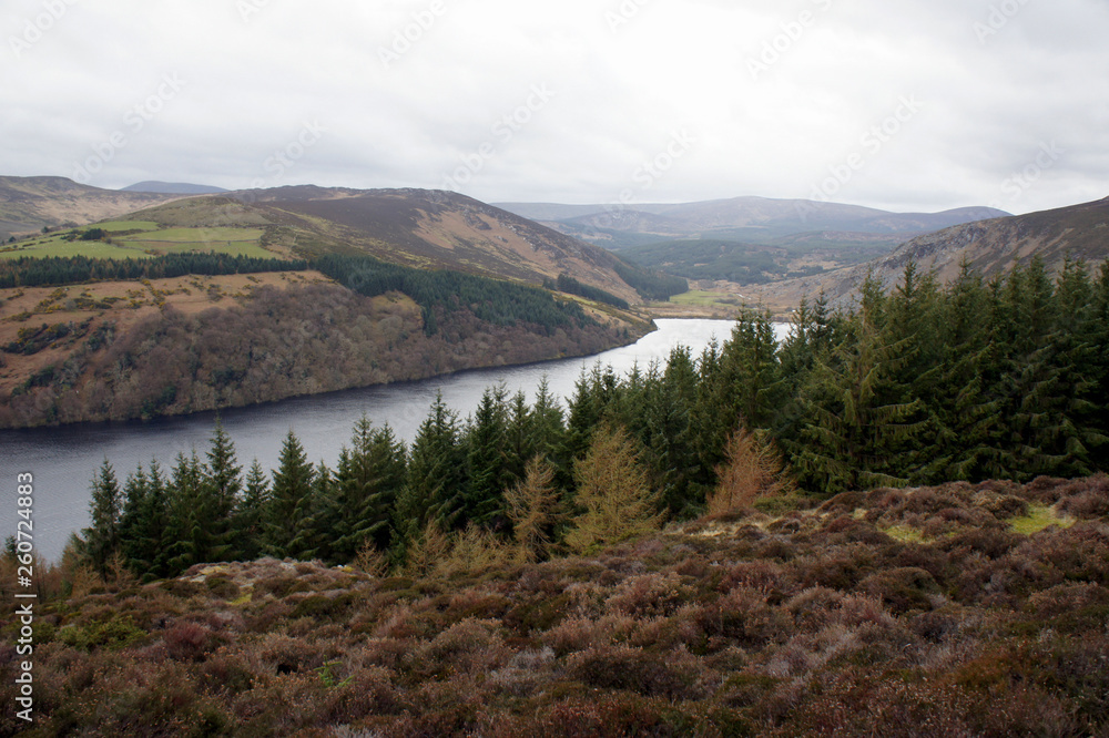Landscapes of Ireland.Spring in Wicklow Mountains.