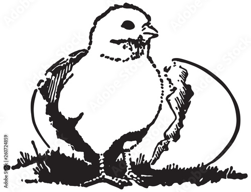 Newborn Chick - Retro Ad Art Illustration