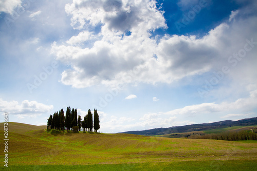 hills sky and cypresses