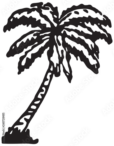 Palm Tree - Retro Ad Art Illustration