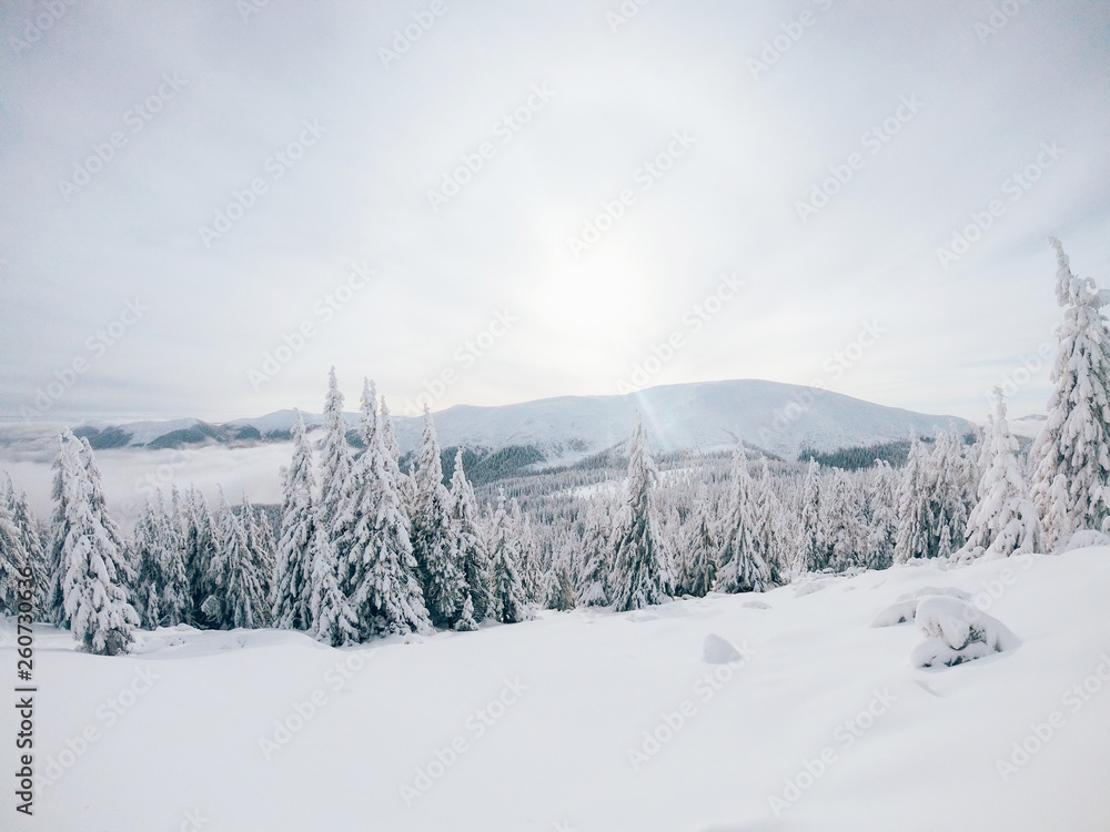 The most beautiful Ukrainian nature The most beautiful Ukrainian nature