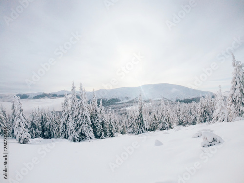 Wallpaper Mural The most beautiful Ukrainian nature Torontodigital.ca