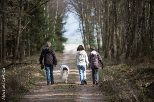 couple walking in the forest with dog