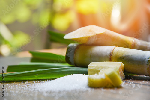 White sugar and sugar cane on wooden  table and nature background photo