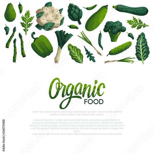 Organic food card design. Variety of decorative green vegetables with grain texture on white background. Farmers market, Organic food poster or banner design. Vector illustration.
