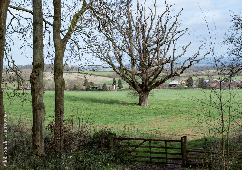 Worcestershire winter countryside landscape