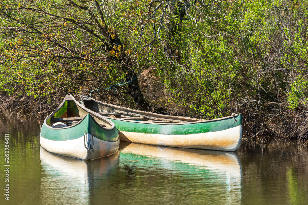 BASSIN D'ARCACHON (France), canoës sur la rivière Leyre surnommée la 'petite Amazone'