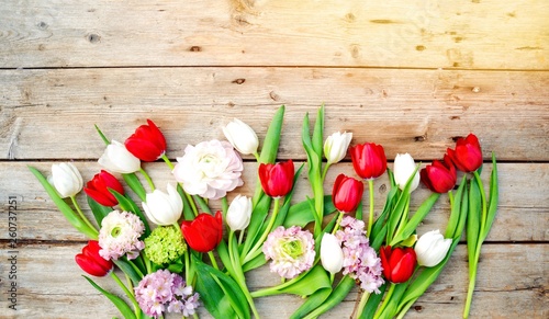 Frühling - Frühlingsblumen ...