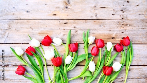 Frühling - Frühlingsblumen ...