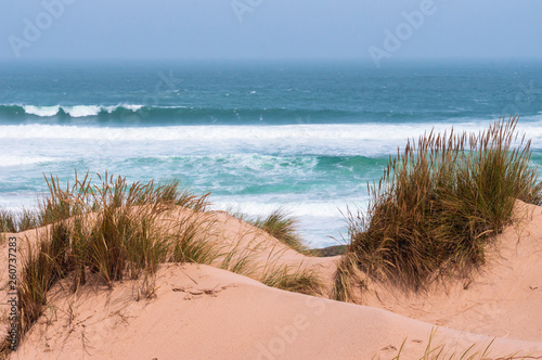 Fototapeta Naklejka Na Ścianę i Meble -  Golden sand dunes covered in grass swaying in the wind at Guincho Beach, Cascais, Portugal. Summer day on the beautiful and wild Portuguese coast. Soft blue ocean waves breaking against the seashore.