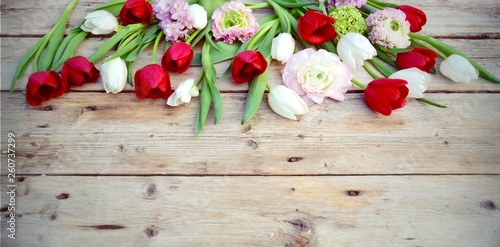 Frühling - Frühlingsblumen ...