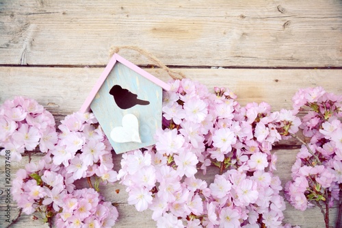 Frühling - Japanische Kirsc...