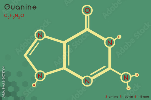 Large and detailed infographic of the molecule of Guanine.