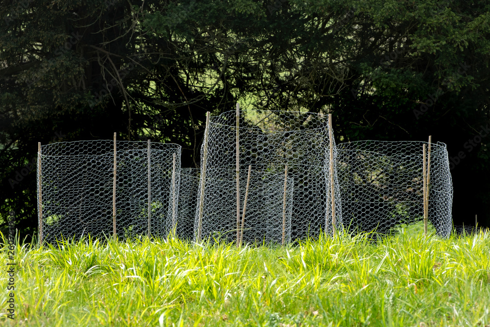 Wire netting and posts Wire netting and posts