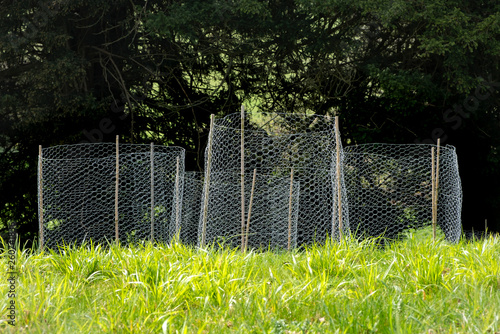 Wire netting and posts