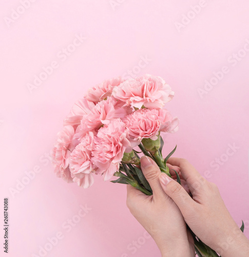 Woman giving bunch of elegance blooming baby pink color tender carnations isolated on pale pink background, mothers day decor design concept, top view, close up, copy space © RomixImage