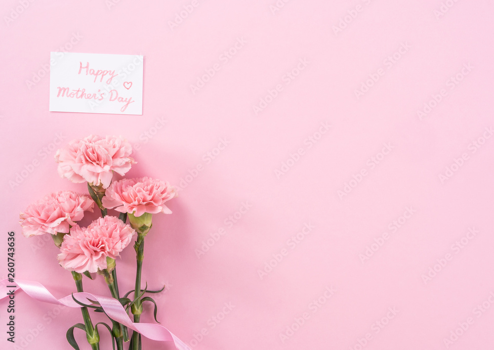 Beautiful fresh blooming baby pink color tender carnations isolated on bright pink background, mothers day thanks design concept,top view,flat lay,copy space,close up,mock up