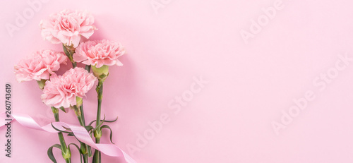 Beautiful fresh blooming baby pink color tender carnations isolated on bright pink background, mothers day thanks design concept,top view,flat lay,copy space,close up,mock up