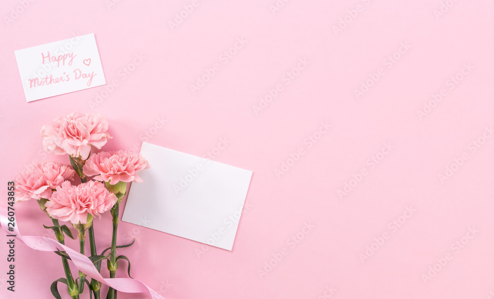 Beautiful fresh blooming baby pink color tender carnations isolated on bright pink background, mothers day thanks design concept,top view,flat lay,copy space,close up,mock up Beautiful fresh blooming baby pink color tender carnations isolated on bright pink background, mothers day thanks design concept,top view,flat lay,copy space,close up,mock up