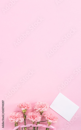 Beautiful fresh blooming baby pink color tender carnations isolated on bright pink background, mothers day thanks design concept,top view,flat lay,copy space,close up,mock up © RomixImage
