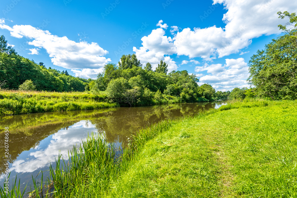 scenic forest lake in sunny summer day with green foliage and shadows