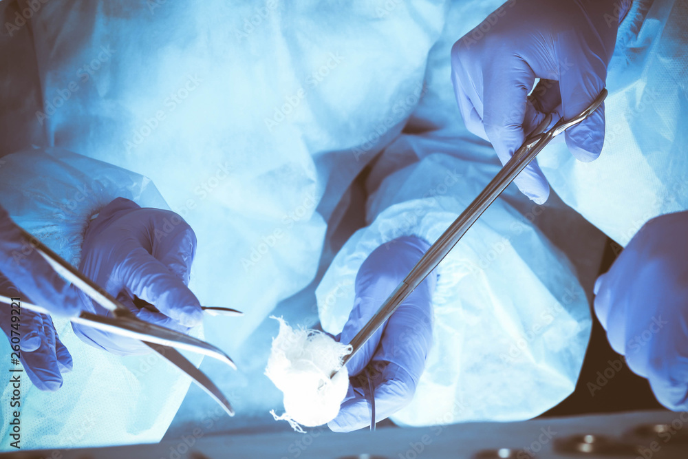Group of surgeons at work while operating at hospital. Health care and veterinary concept Group of surgeons at work while operating at hospital. Health care and veterinary concept