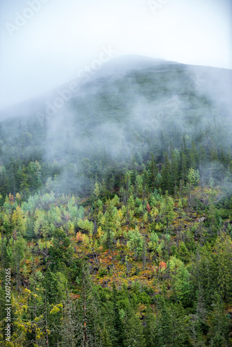 Obraz na płótnie mist rising from valleys in forest in slovakia Tatra mountains