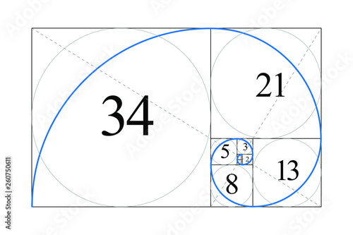 Golden ratio. Fibonacci number. Harmonic division. Spiral. Geometric concept. Vector illustration.
