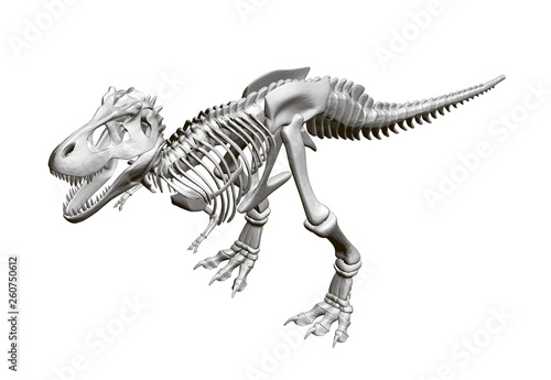 Dinosaur skeleton. Isometric view. 3D. Vector illustration