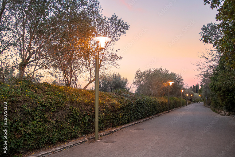 Scenic view of an avenue illuminated by streetlights with hedges and olive trees at sunset, Sirmione, Lake Garda, Lombardy, Italy