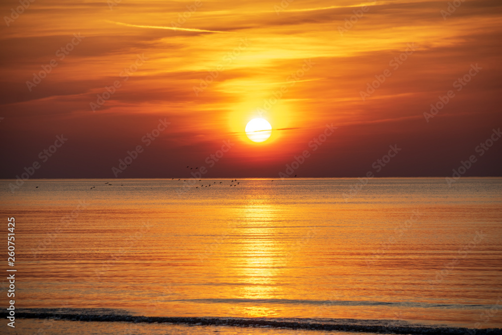 orabge colored sunset over calm sea beach water fields