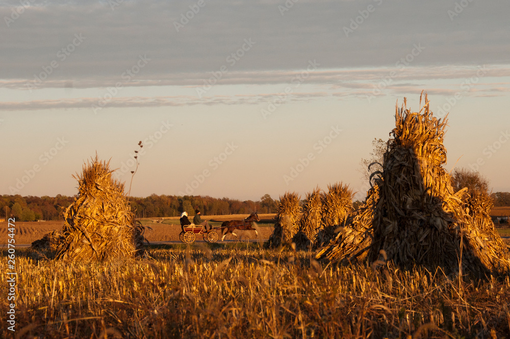 Amish Buggy and Corn Shocks